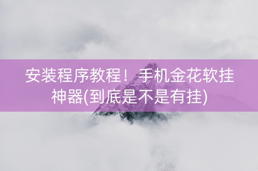 安装程序教程！手机金花软挂神器(到底是不是有挂)