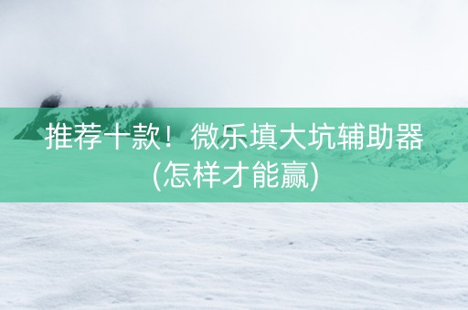 推荐十款！微乐填大坑辅助器(怎样才能赢)
