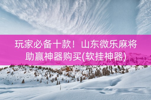 玩家必备十款！山东微乐麻将助赢神器购买(软挂神器)