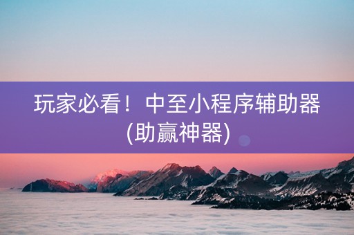 玩家必看！中至小程序辅助器(助赢神器)