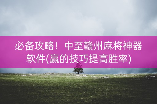 必备攻略！中至赣州麻将神器软件(赢的技巧提高胜率)