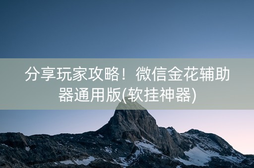 分享玩家攻略！微信金花辅助器通用版(软挂神器)