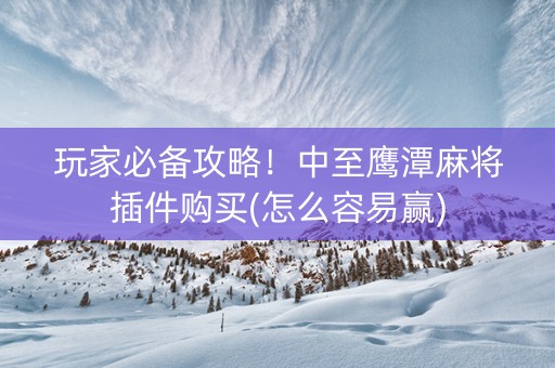 玩家必备攻略！中至鹰潭麻将插件购买(怎么容易赢)