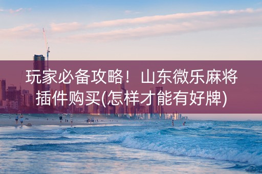 玩家必备攻略！山东微乐麻将插件购买(怎样才能有好牌)