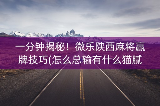 一分钟揭秘！微乐陕西麻将赢牌技巧(怎么总输有什么猫腻)