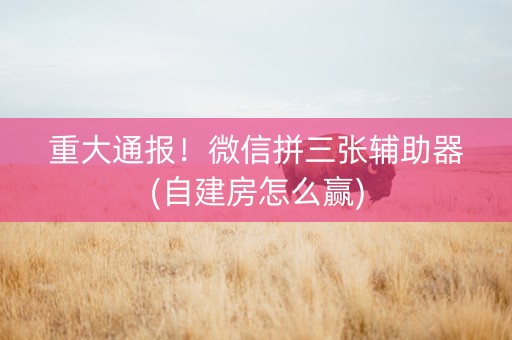 重大通报！微信拼三张辅助器(自建房怎么赢)