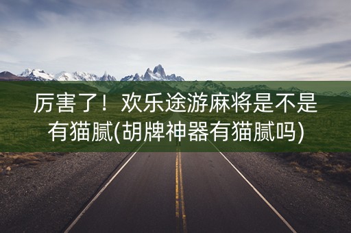 厉害了！欢乐途游麻将是不是有猫腻(胡牌神器有猫腻吗)
