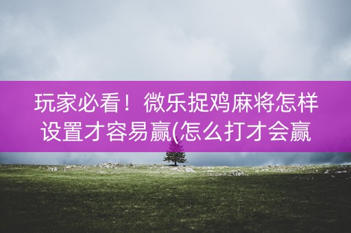 玩家必看！微乐捉鸡麻将怎样设置才容易赢(怎么打才会赢)