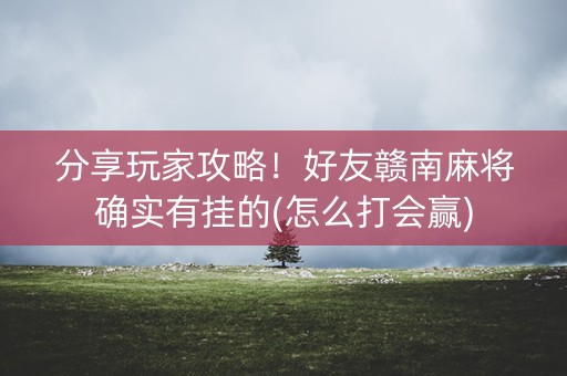 分享玩家攻略！好友赣南麻将确实有挂的(怎么打会赢)