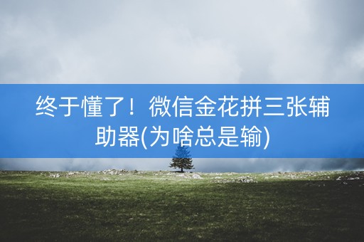 终于懂了！微信金花拼三张辅助器(为啥总是输)