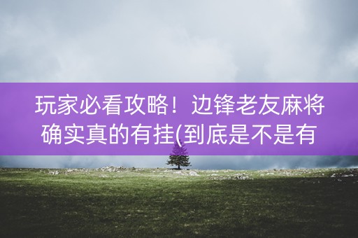 玩家必看攻略！边锋老友麻将确实真的有挂(到底是不是有挂)
