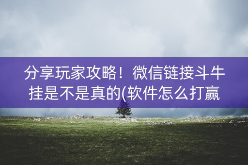 分享玩家攻略！微信链接斗牛挂是不是真的(软件怎么打赢)