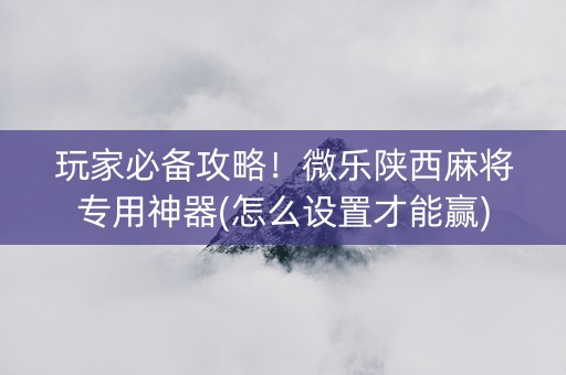 玩家必备攻略！微乐陕西麻将专用神器(怎么设置才能赢)