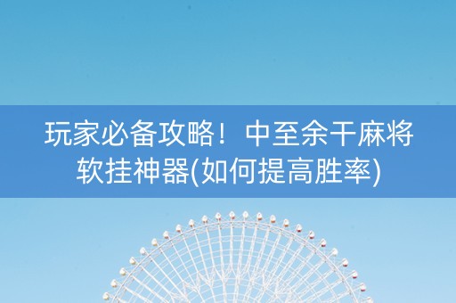 玩家必备攻略！中至余干麻将软挂神器(如何提高胜率)