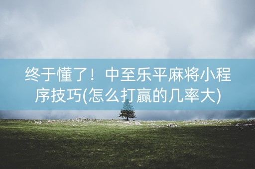 终于懂了！中至乐平麻将小程序技巧(怎么打赢的几率大)