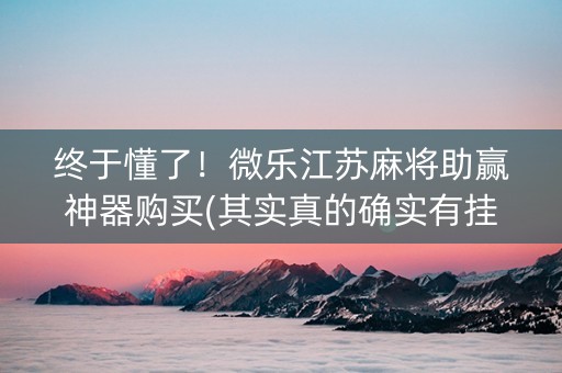 终于懂了！微乐江苏麻将助赢神器购买(其实真的确实有挂)
