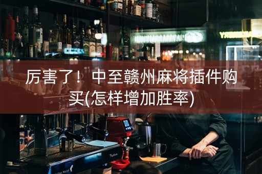 厉害了！中至赣州麻将插件购买(怎样增加胜率)