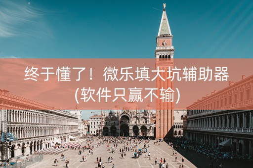 终于懂了！微乐填大坑辅助器(软件只赢不输)