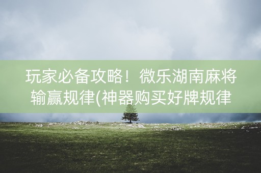 玩家必备攻略！微乐湖南麻将输赢规律(神器购买好牌规律)