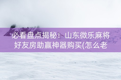 必看盘点揭秘！山东微乐麻将好友房助赢神器购买(怎么老是输)