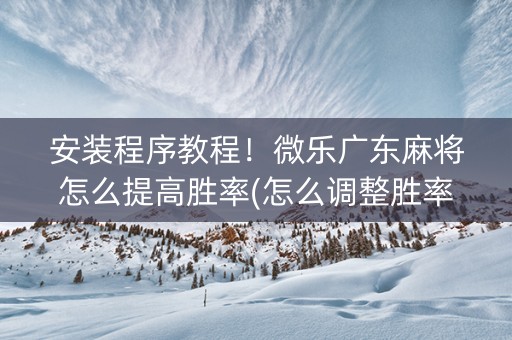 安装程序教程！微乐广东麻将怎么提高胜率(怎么调整胜率)