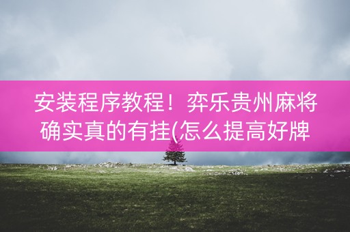安装程序教程！弈乐贵州麻将确实真的有挂(怎么提高好牌几率)