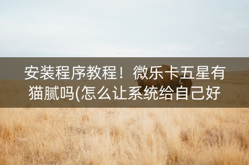 安装程序教程！微乐卡五星有猫腻吗(怎么让系统给自己好牌)
