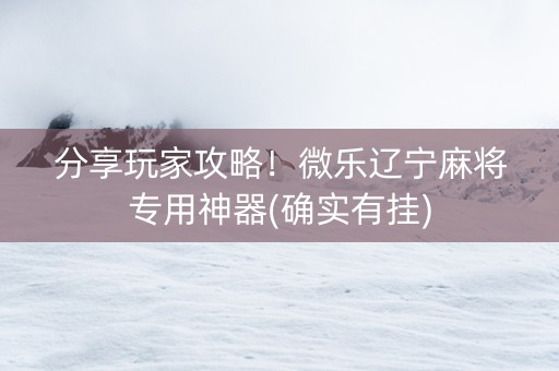 分享玩家攻略！微乐辽宁麻将专用神器(确实有挂)