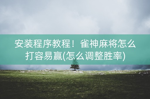 安装程序教程！雀神麻将怎么打容易赢(怎么调整胜率)