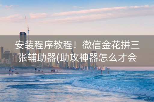 安装程序教程！微信金花拼三张辅助器(助攻神器怎么才会赢)