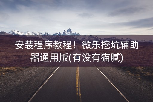 安装程序教程！微乐挖坑辅助器通用版(有没有猫腻)