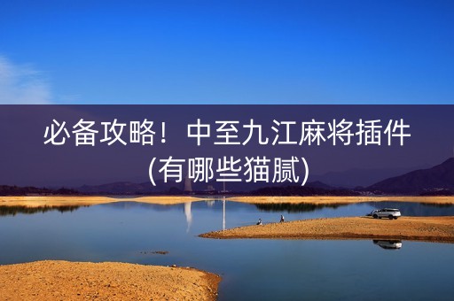 必备攻略！中至九江麻将插件(有哪些猫腻)