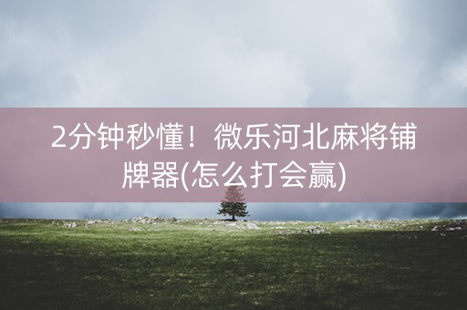 2分钟秒懂！微乐河北麻将铺牌器(怎么打会赢)