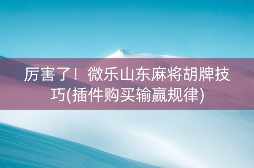 厉害了！微乐山东麻将胡牌技巧(插件购买输赢规律)
