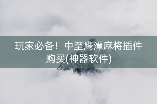 玩家必备！中至鹰潭麻将插件购买(神器软件)