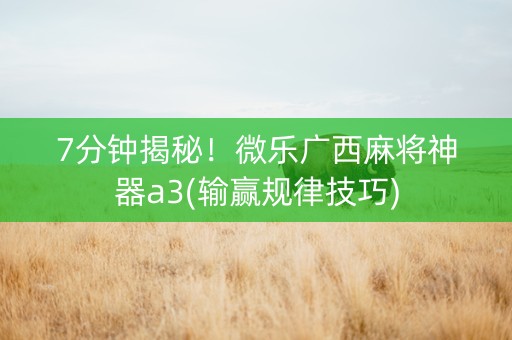 7分钟揭秘！微乐广西麻将神器a3(输赢规律技巧)