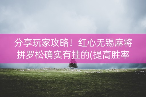 分享玩家攻略！红心无锡麻将拼罗松确实有挂的(提高胜率办法)