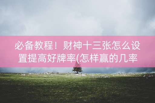 必备教程！财神十三张怎么设置提高好牌率(怎样赢的几率大)