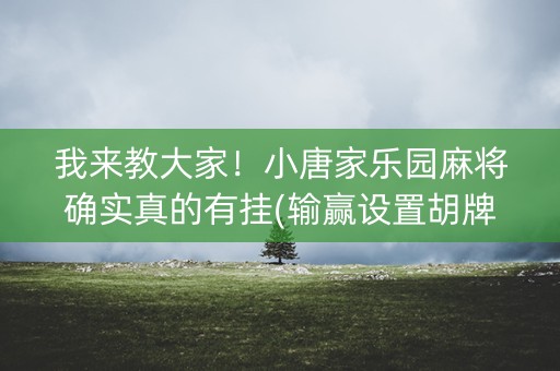 我来教大家！小唐家乐园麻将确实真的有挂(输赢设置胡牌规律)