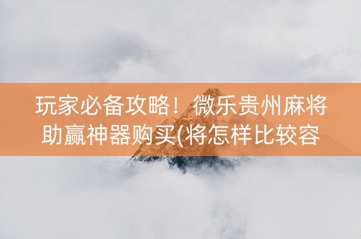 玩家必备攻略！微乐贵州麻将助赢神器购买(将怎样比较容易赢)
