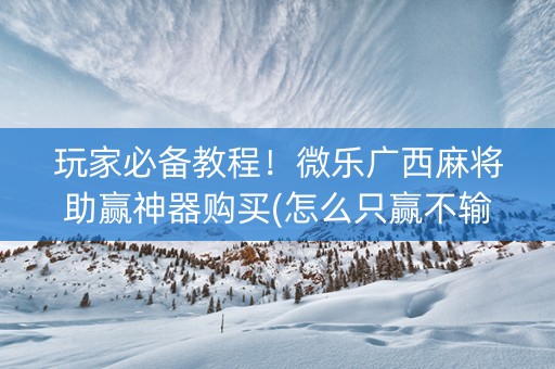 玩家必备教程！微乐广西麻将助赢神器购买(怎么只赢不输)