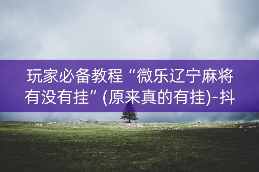 玩家必备教程“微乐辽宁麻将有没有挂”(原来真的有挂)-抖音