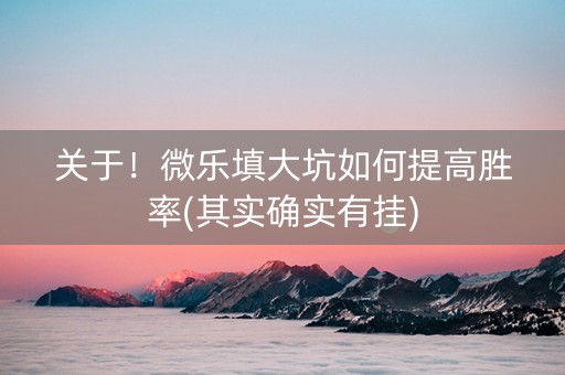 关于！微乐填大坑如何提高胜率(其实确实有挂)