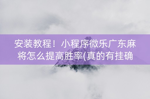 安装教程！小程序微乐广东麻将怎么提高胜率(真的有挂确实有挂)