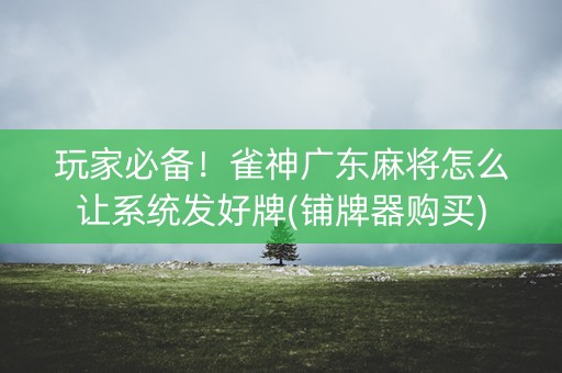 玩家必备！雀神广东麻将怎么让系统发好牌(铺牌器购买)