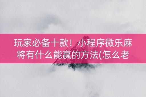 玩家必备十款！小程序微乐麻将有什么能赢的方法(怎么老输必备神器)