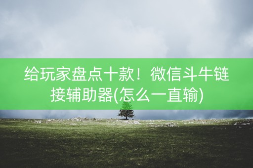 给玩家盘点十款！微信斗牛链接辅助器(怎么一直输)
