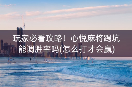 玩家必看攻略！心悦麻将踢坑能调胜率吗(怎么打才会赢)