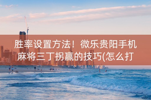 胜率设置方法！微乐贵阳手机麻将三丁拐赢的技巧(怎么打才能赢)
