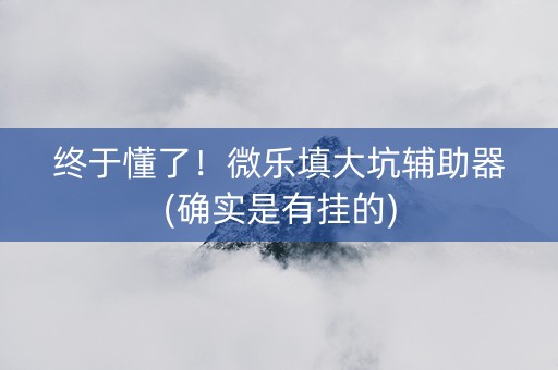 终于懂了！微乐填大坑辅助器(确实是有挂的)